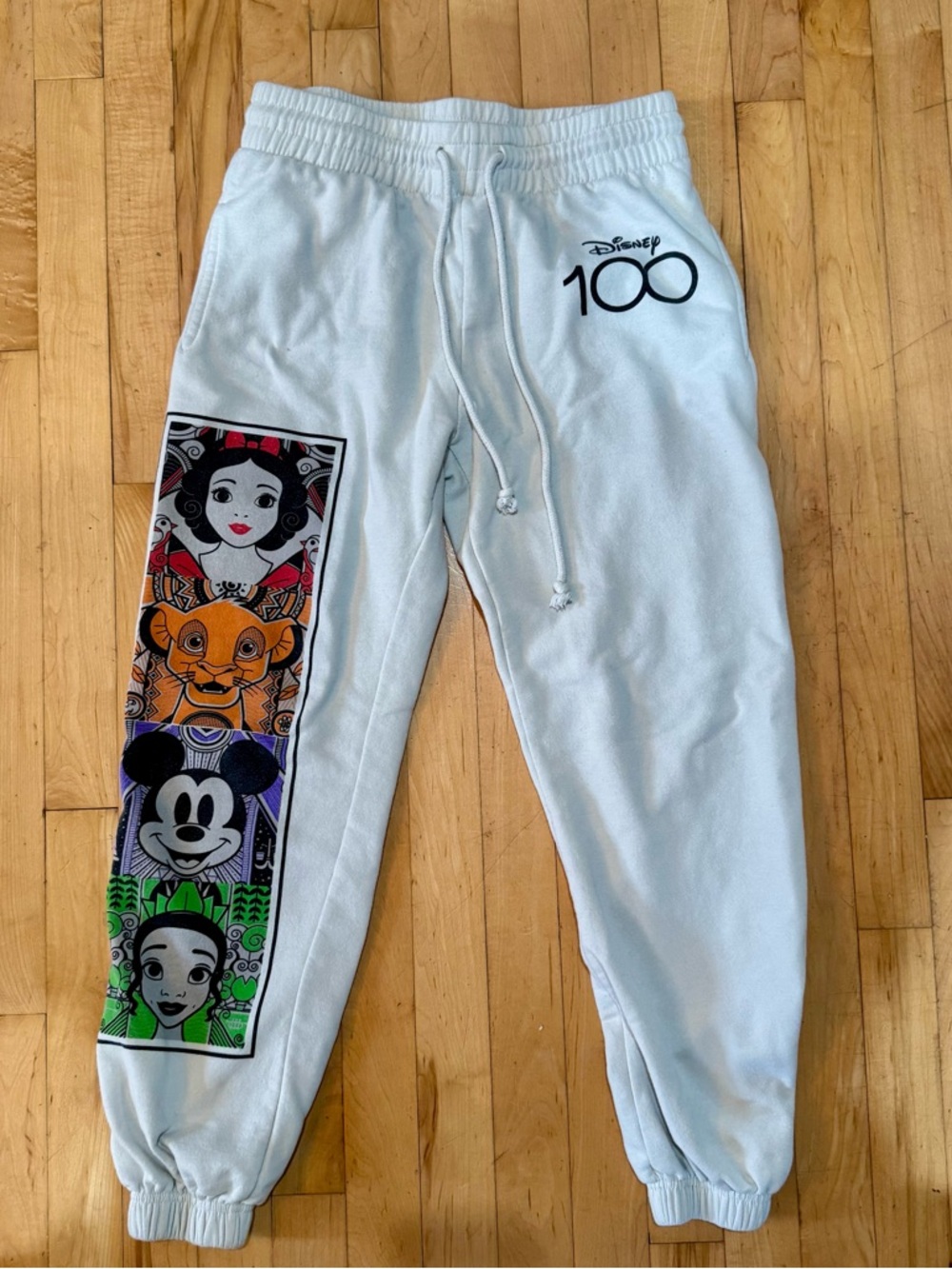 Women’s Disney 100 Character Graphic Sweatpants (size M 7-9)